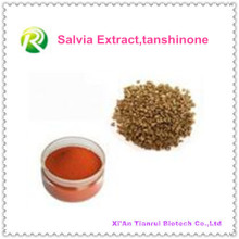 Poudre d&#39;extrait de Salvia 100% naturelle Tanshinone